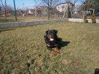 /album/fotogaleria/fotky-canon-258-jpg/